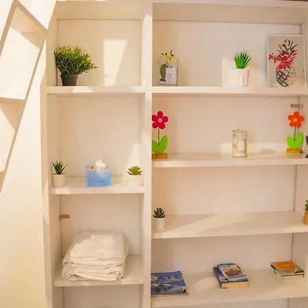 Cementine's Design * 로마